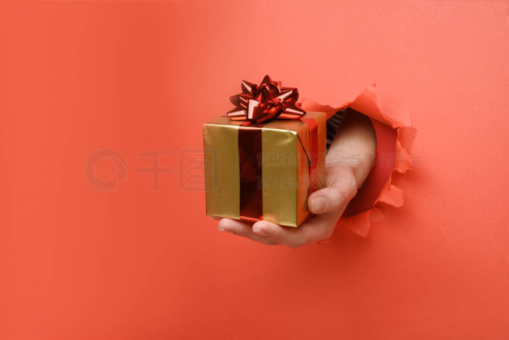 Hand give gold gift box with red ribbon on torn red paper wall.