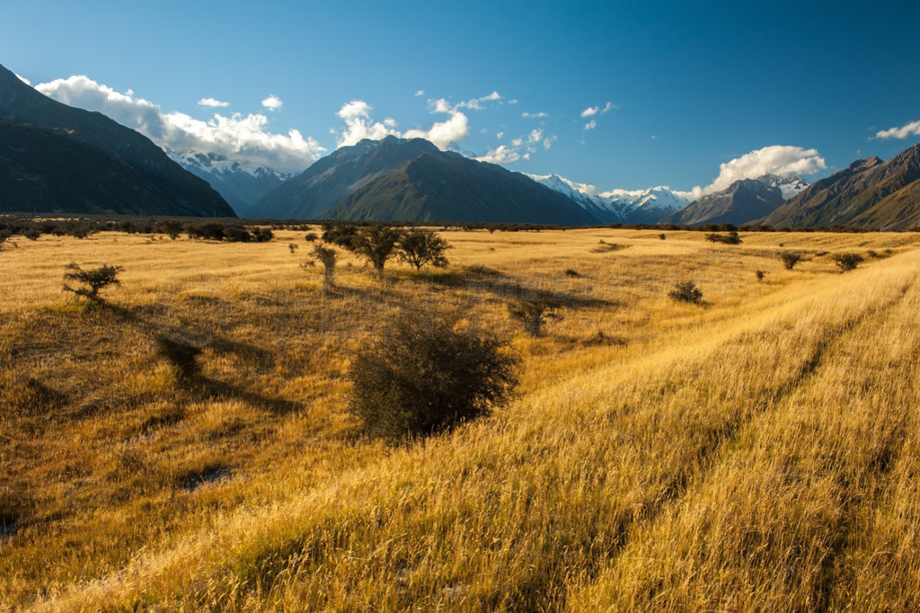 mt.cook ҹ԰