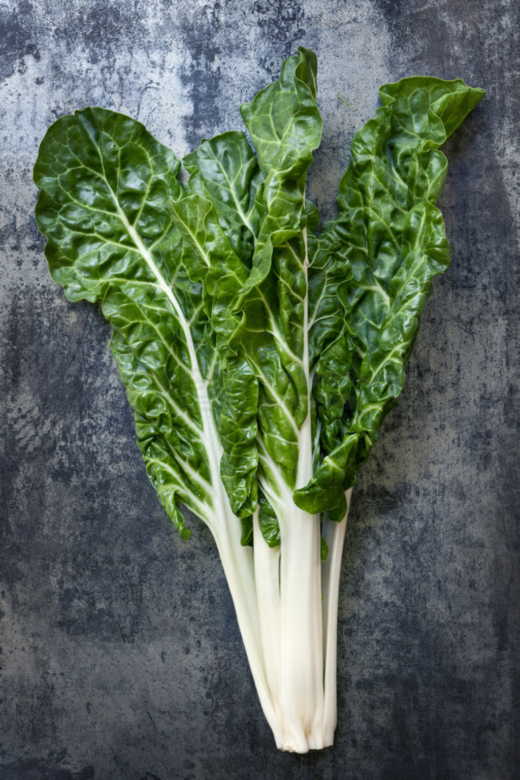 silverbeet ʯ