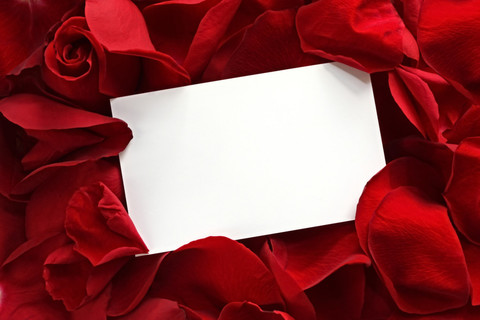 红色的玫瑰花瓣上的礼品卡