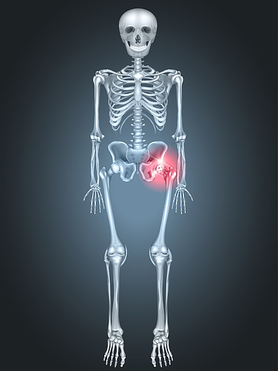 50骨骼與髖部疼痛571在透明背景3d矢量圖上孤立的現實人類骨骼?
