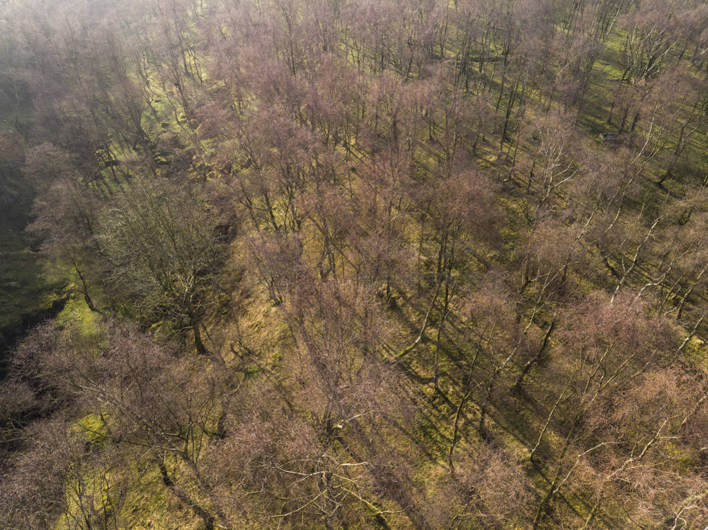 Stunning abstract aerial drone landscape image of early morning