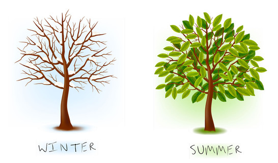夏天和冬天对比的图片图片