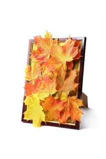 秋天装饰枫叶在相框中孤立在白色背景上。 手工制作的彩色秋季构图框架。