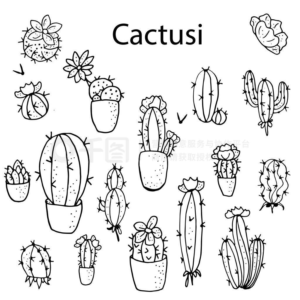 Cactusi Ԫرڰɫ, һײͬơڰ׵ɫ