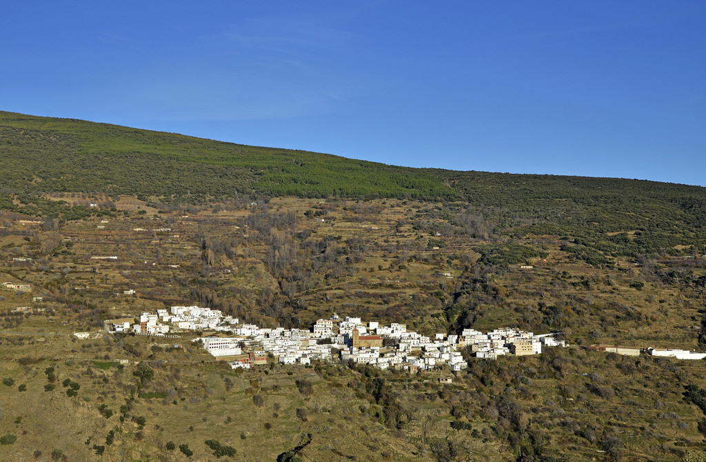 ǿ alpujarra С