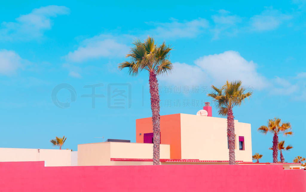 Tropical location. Plants on pink design. Canary Islands. Ideal
