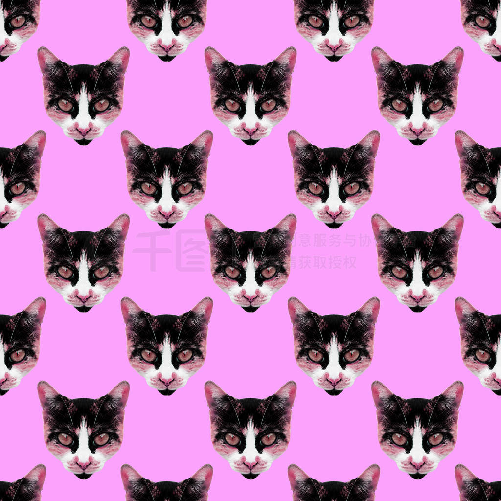 Seamless pattern. Fashion kitty face. Use for t-shirt, greeting
