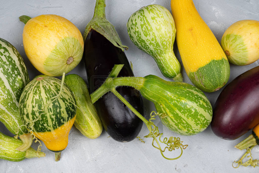 zucchini, eggplant lie on a light gray background, harvest. The