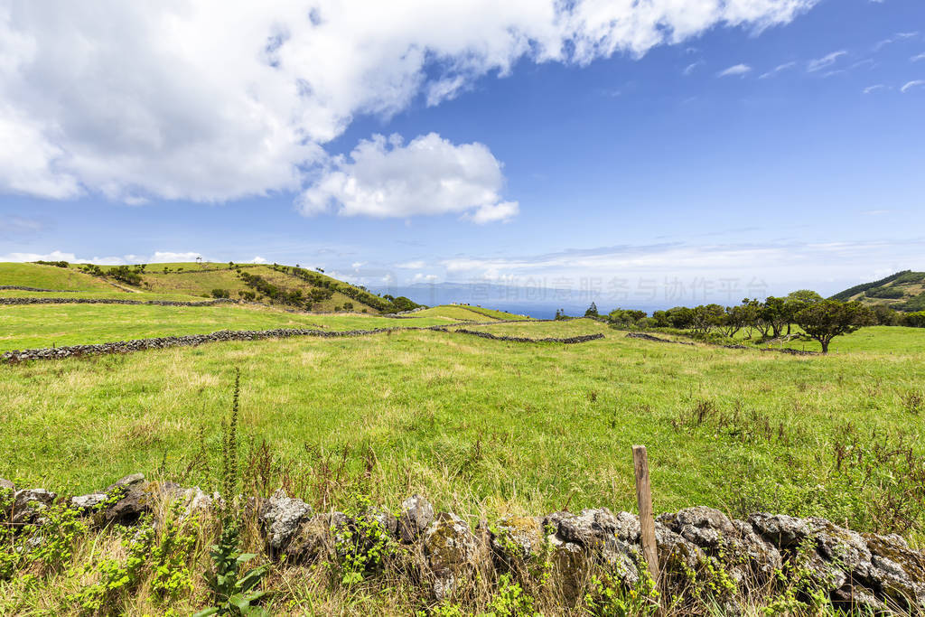 Empty Cattle Azores Pastures