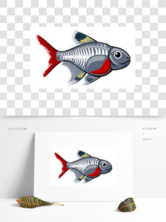 x射线鱼图片卡通图片