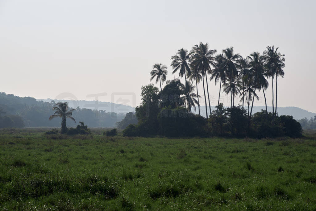 Horizontal landscape of green meadows with a backdrop of tropica