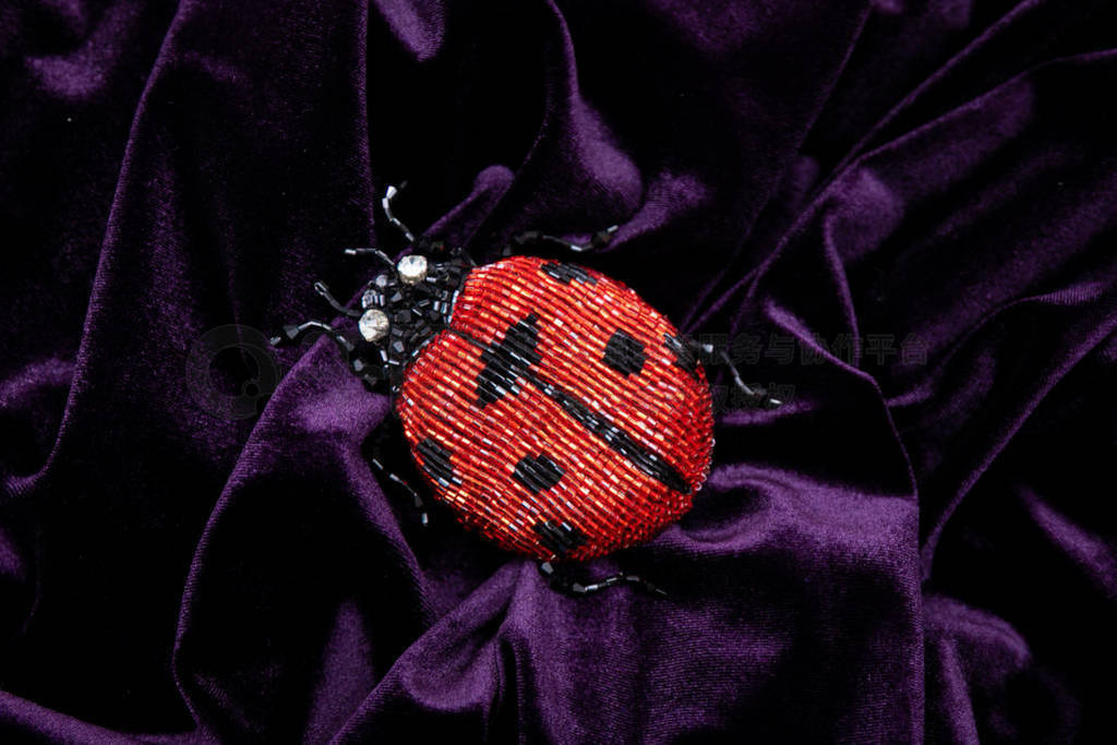 Designer brooch made of handmade jewelry in the form ladybug is