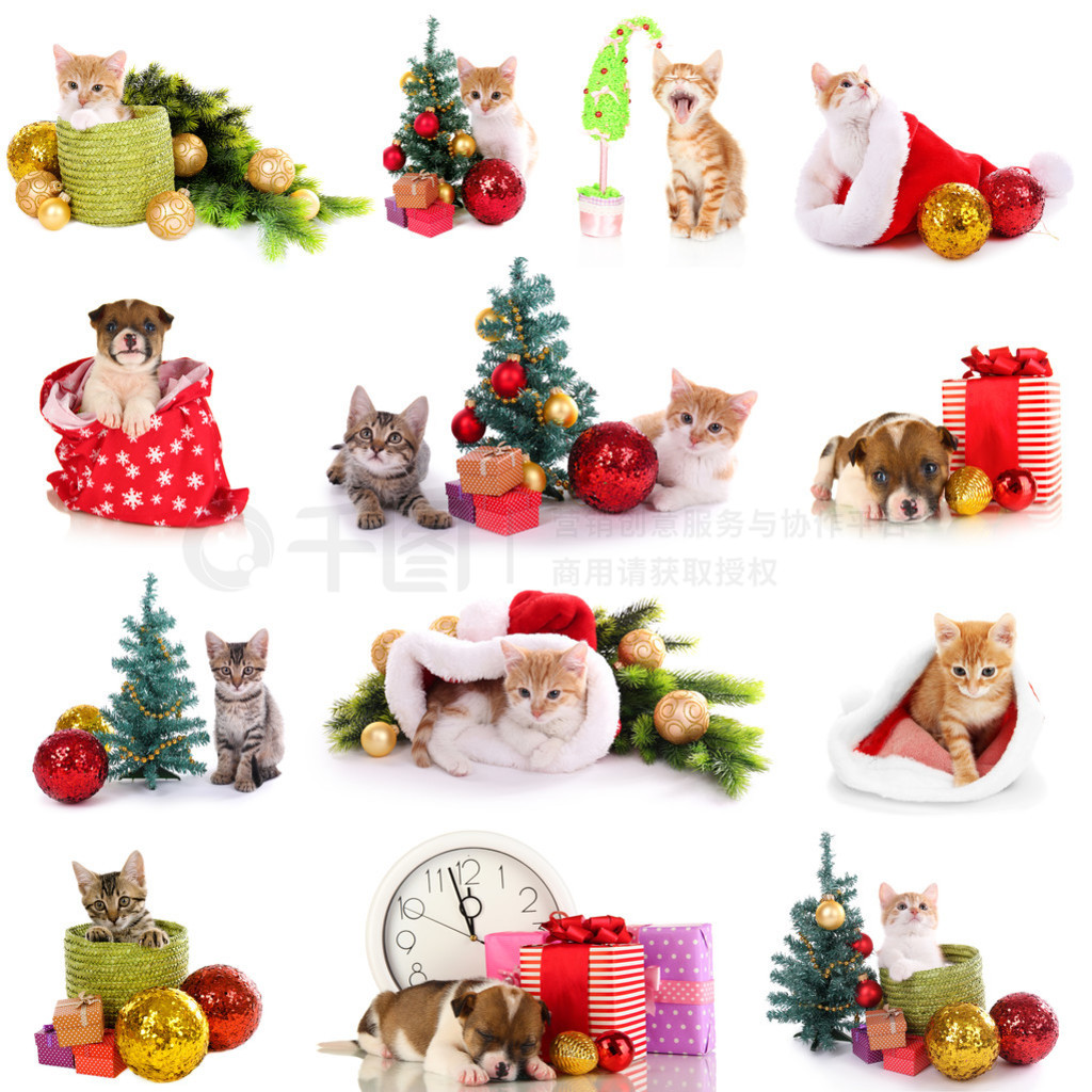 小猫和小狗与孤立的白色衬底上的圣诞装饰品的拼贴画