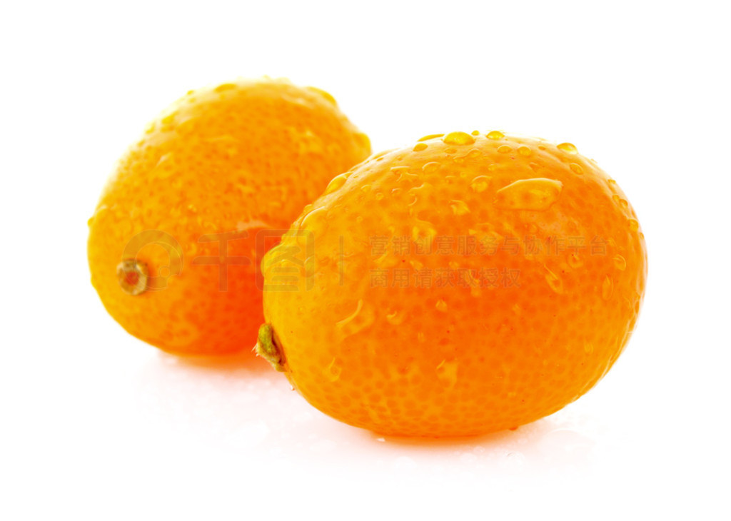 ڰɫ kumquates