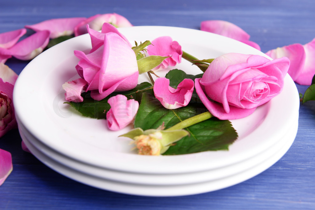 vacker rosa rosor i vita plattor p? tr?bord, n?rbild