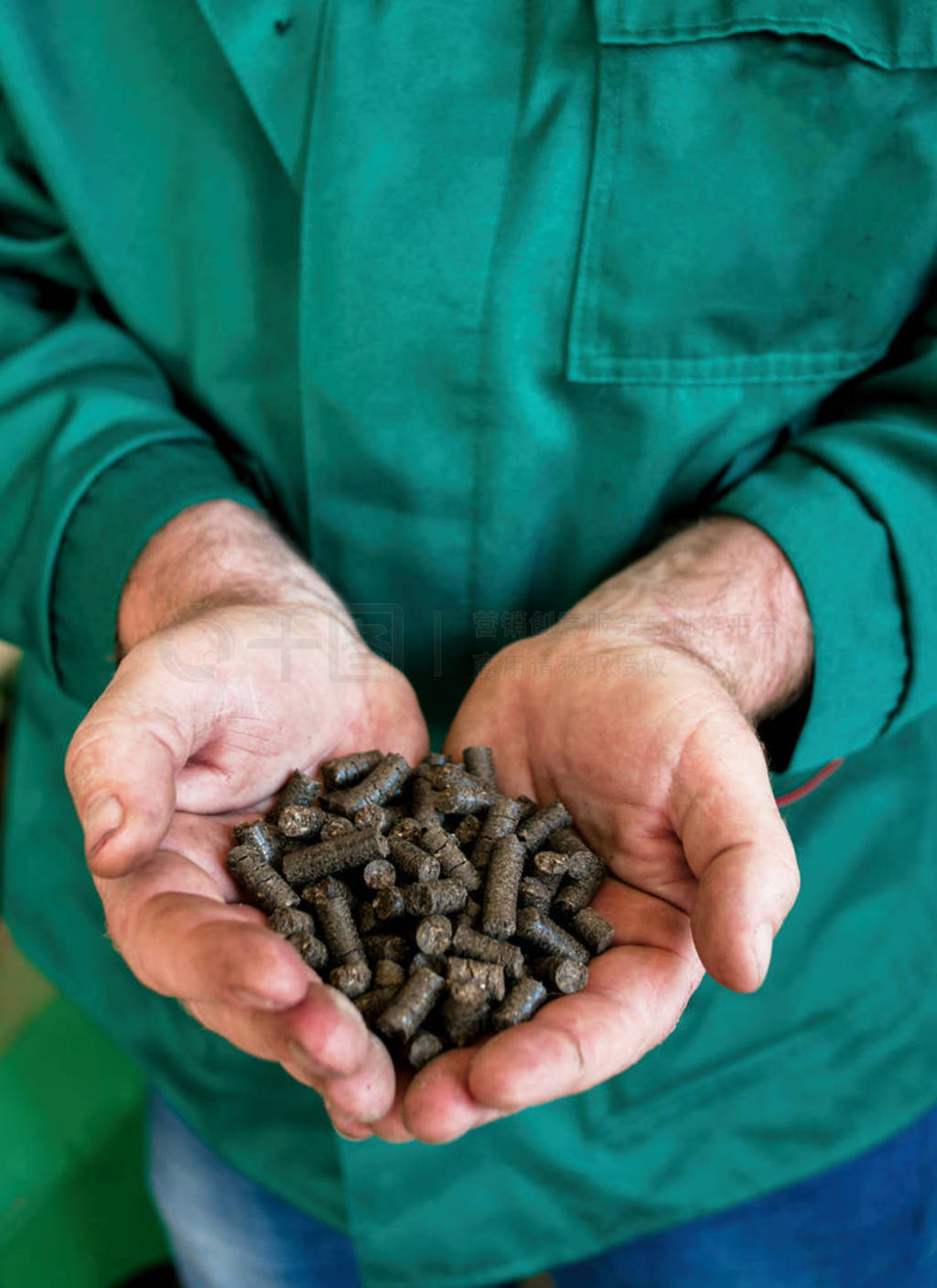 s hands. Biofuels. Cat litter. Human hand holding solid wooden p