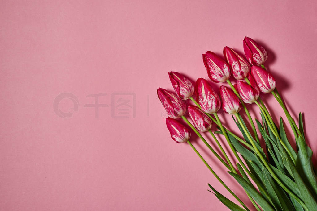 s Day, Easter, birthday. Nature background. Flat lay, top view