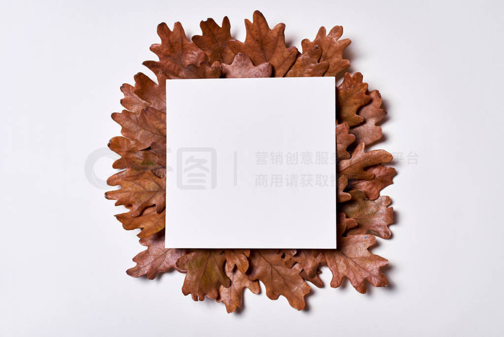 Autumn composition. Frame made of blank paper, autumn dried oak