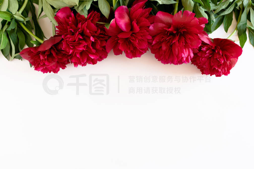 Border frame made of lush red peonies and green leaves