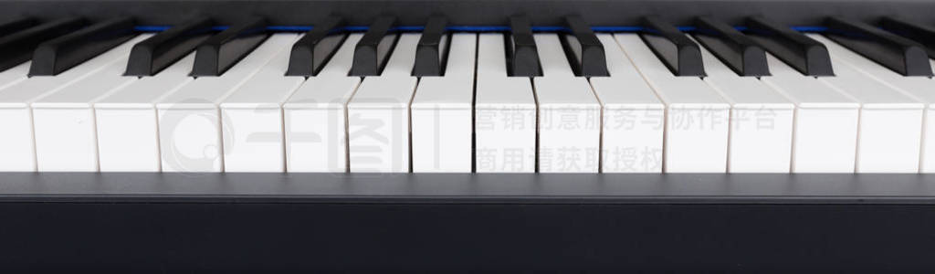 Front view of blank piano keys