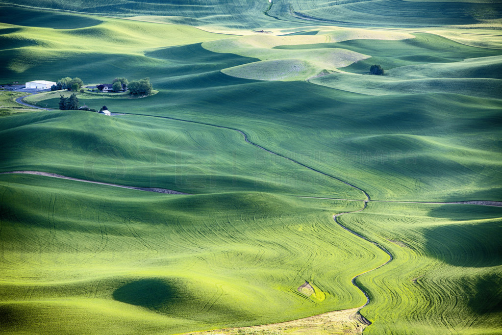 Mez?gazdasgi tj, a Palouse