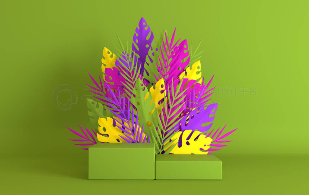 Tropical paper palm, monstera leaves and flowers frame, podium