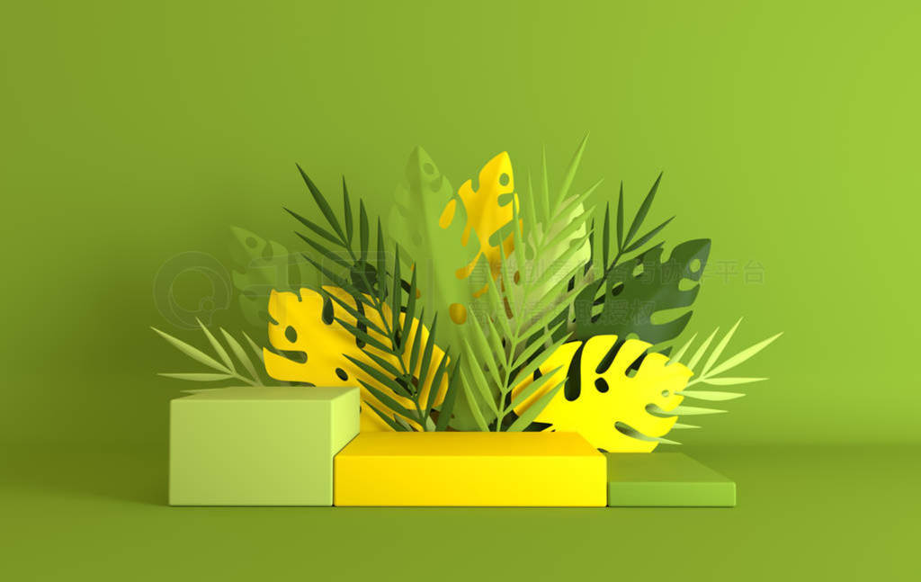 Tropical paper palm, monstera leaves and flowers frame, podium