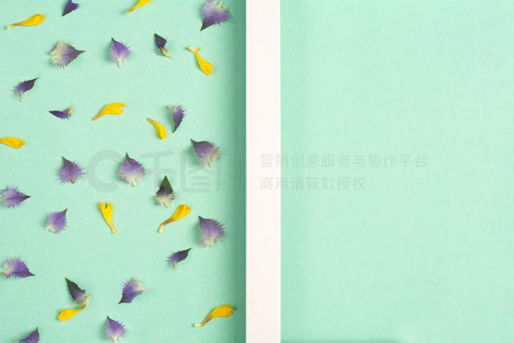 Yellow and violet petals on a green background.
