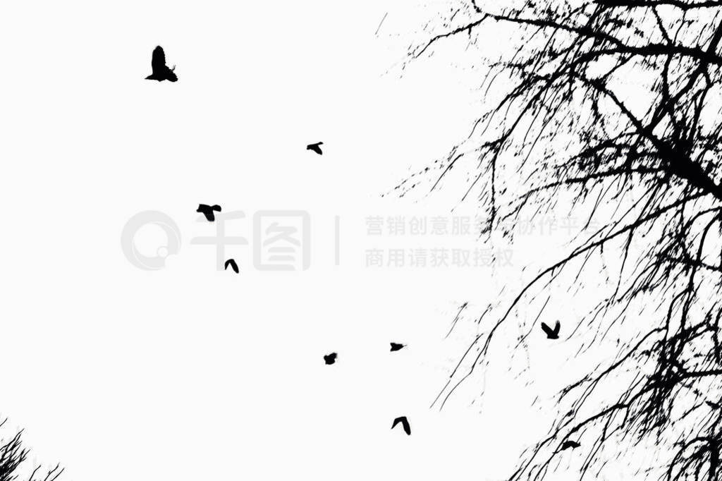 Silhouettes of trees and flying birds