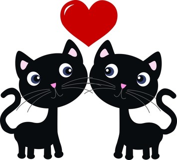 在爱情中的两个甜猫
