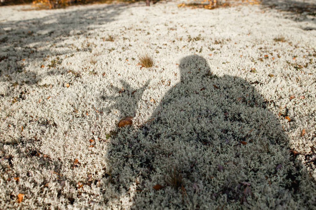 Human shadow showing salute gesture on reindeer moss oin the tun