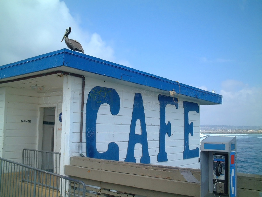 Pelican sitting on caf roof, san diego, united states of americ