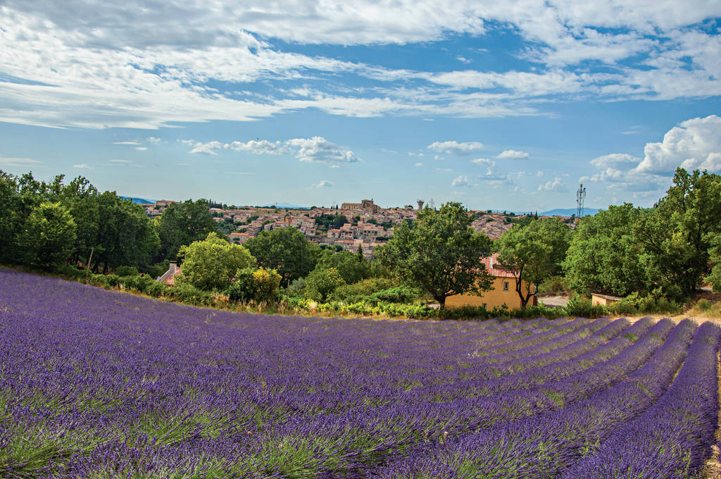 ʵº Valensole ıµ޹²ȫͼ