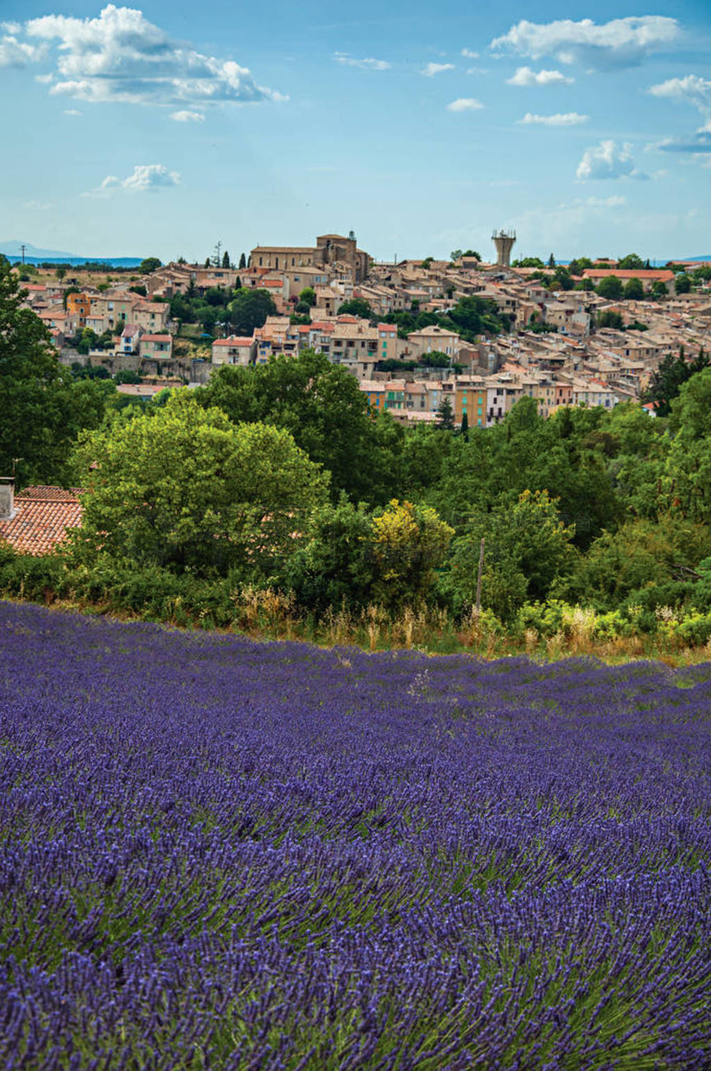 ʵº Valensole ıµ޹²ȫͼ