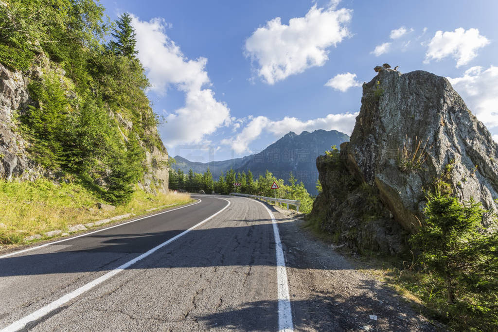 Transfagarasan-ɽ·