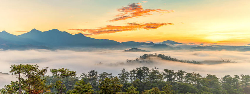 日出山林美景图片图片