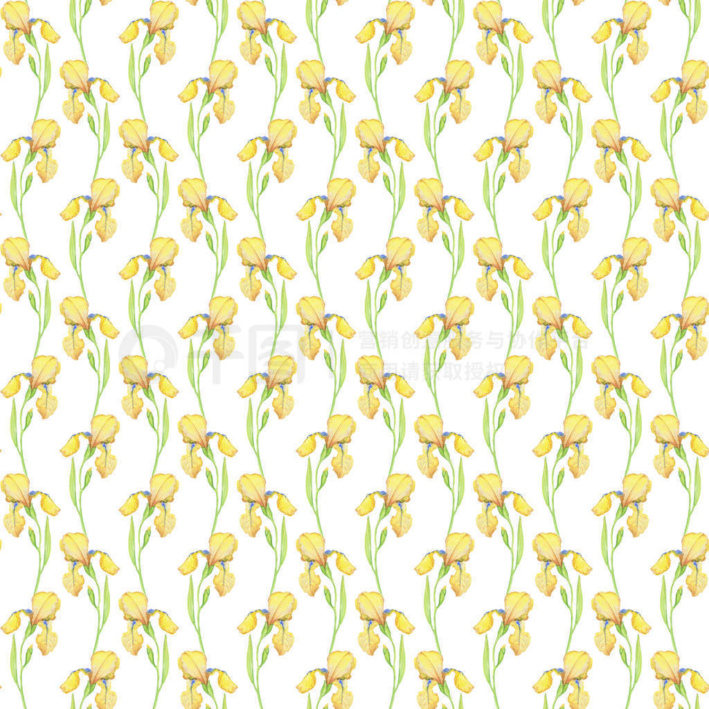 Yellow irises seamless pattern, watercolor illustration of flowe