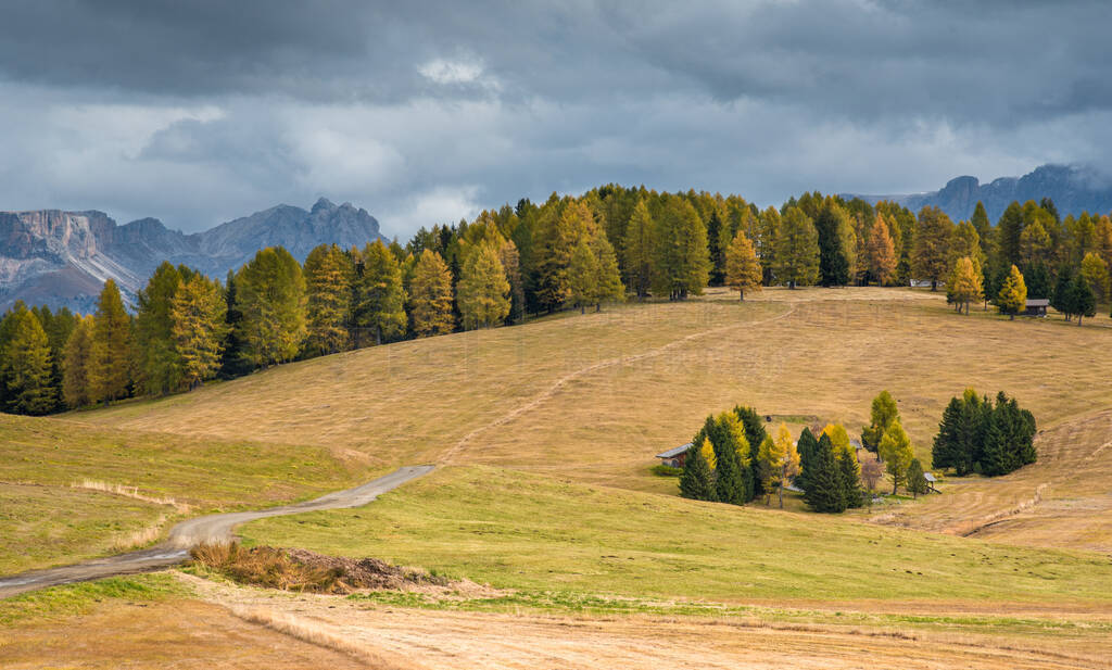 Mountain Landscape at valley of Alpe di siusi in the Dolomites