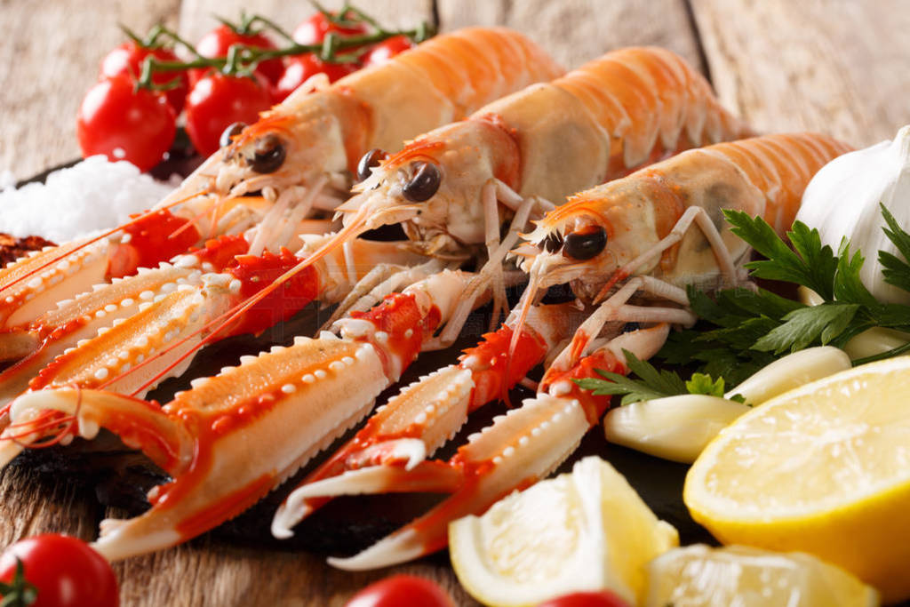  Nephrops , ŲϺ, Ϻ, СϺ scampi дϵϡhorizonta