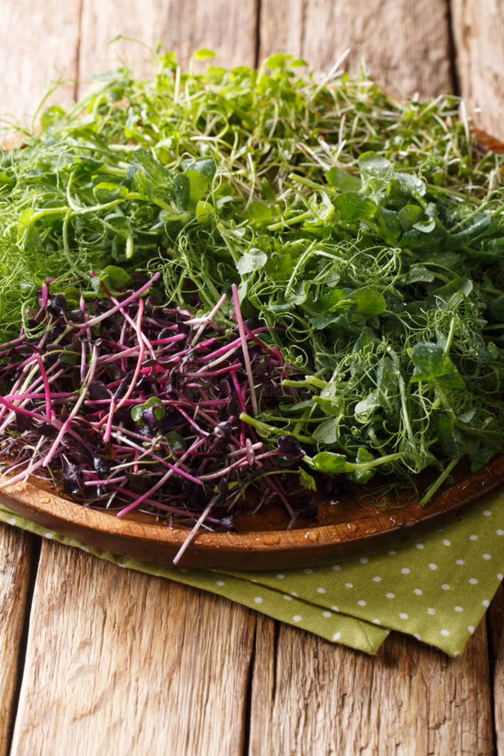 micro green in an assortment of peas, cilantro, mustard, radish