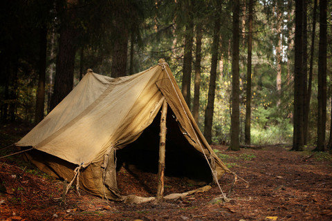 在秋天的森林，首页的冒险和旅行的旧帐篷里