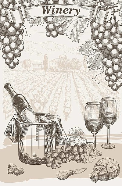 葡萄酒酿造一瓶红酒和一串葡萄葡萄园背景上