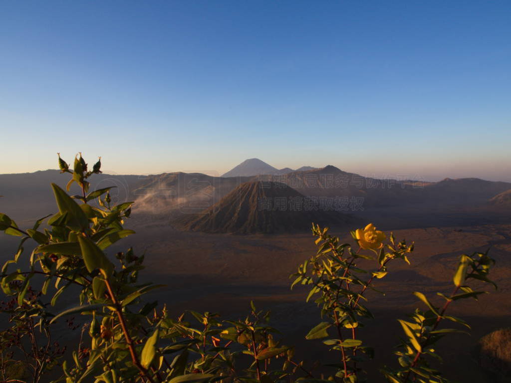 Mount Bromo volcano, the Amazing view of Bromo Mountain located