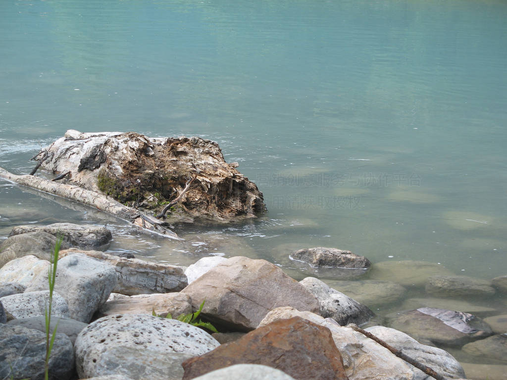 Closeup of a log and stones in water of the lake.