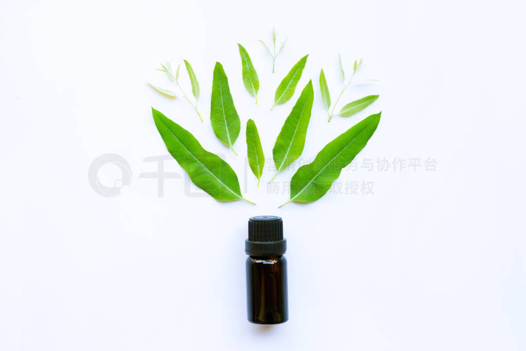 Eucalyptus essential oil on white