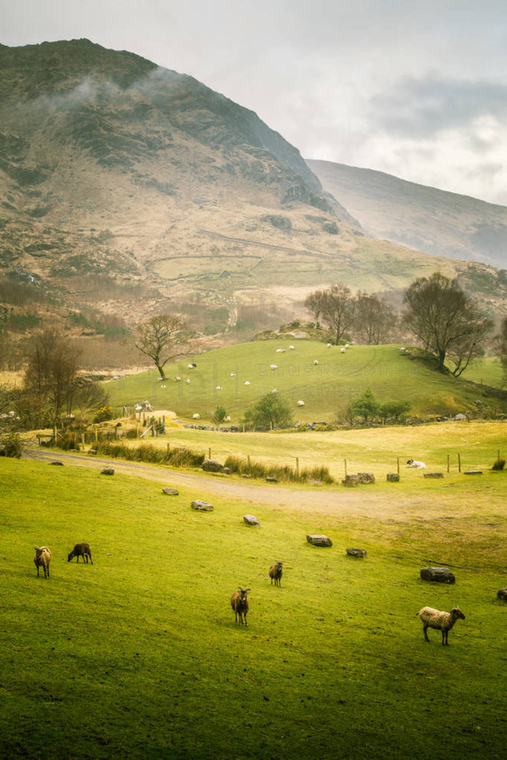 İɽۡڰ Gleninchaquin ԰