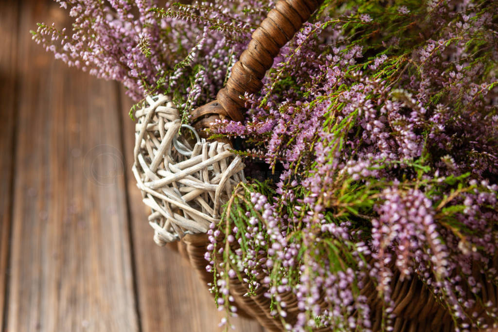 Beautiful fresh bouquet of blooming forest heather in basket