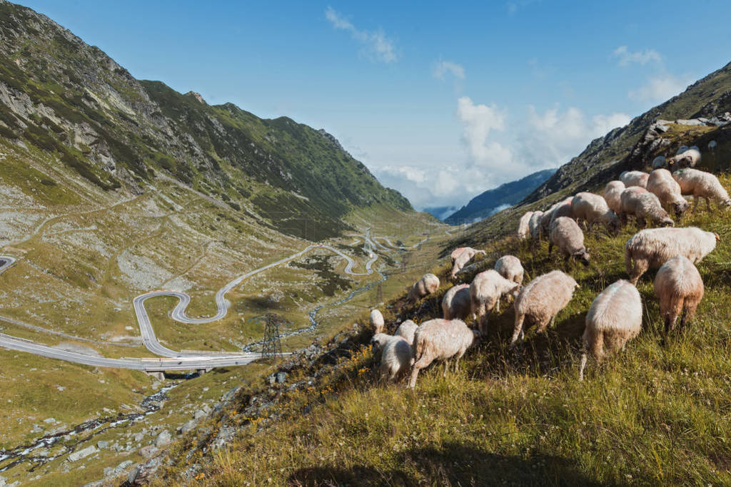 ǷɽTransfagarasanѵĹ·ϸķ羰һȺɽ·߳Բ