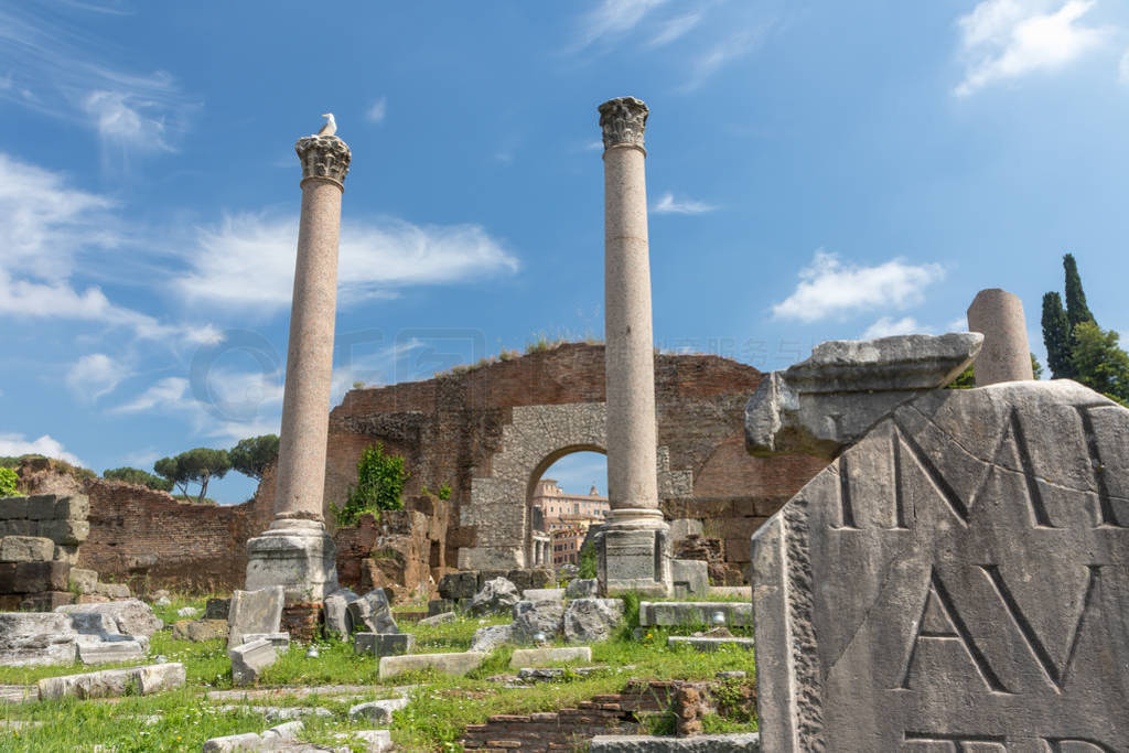 Ruins of ancient Basilica Emilia in Forum Romanum. Rome.